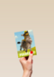 shrek feestje met donkey en puss in boots