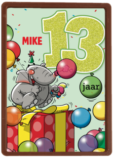 verjaardag leeftijden lorenzo de bruin 13