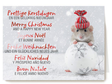 Kerstkaart meertalig muis met kerstbal