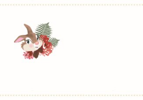 disney adult dikke knuffel voor jou