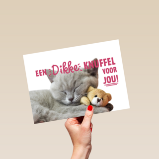 een dikke kattenknuffel voor jou