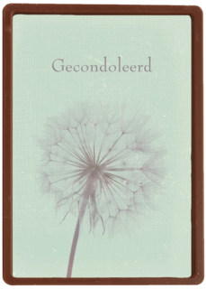 gecondoleerd paardenbloem