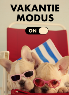vakantiemodus aan staykation