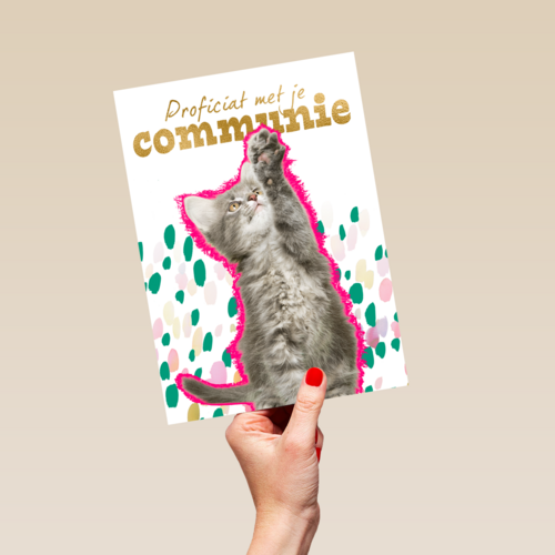Proficiat met je communie kat