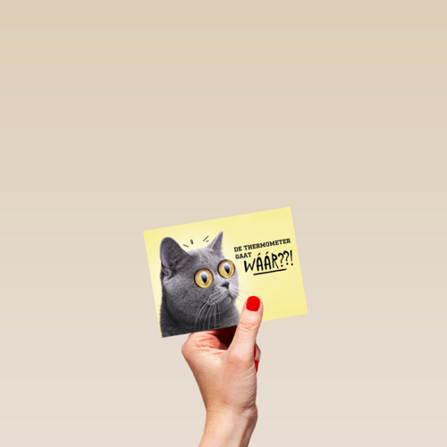 animal fiesta de thermometer gaat waar