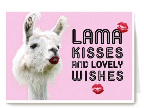 lama kisses and wishes