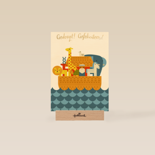 Gedoopt gefeliciteerd noach