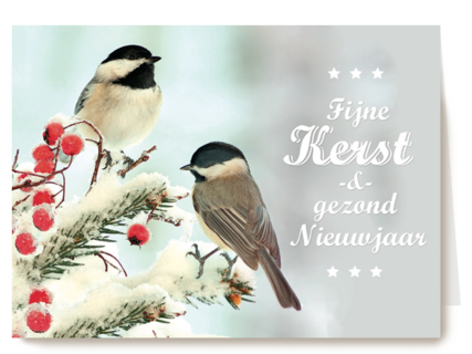 xmas classics fijne kerst en een gezond nieuwjaar