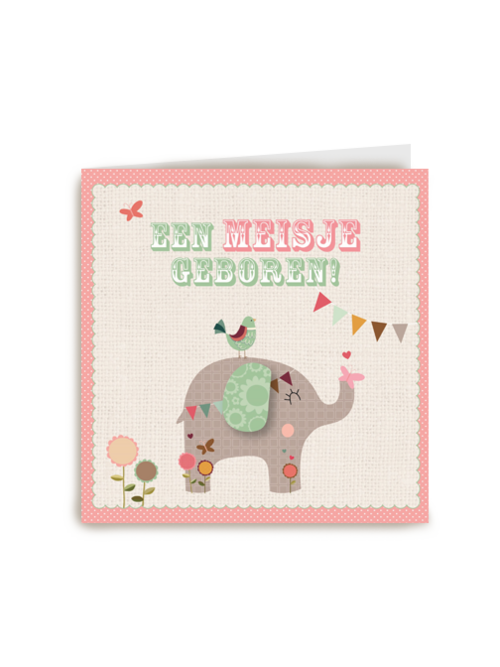 olifantje een meisje geboren