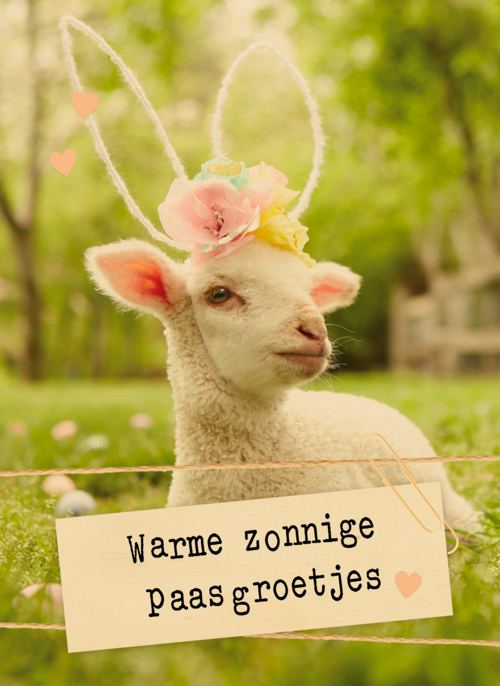 Houten Kaart Pasen | Hallmark | Houten Kaart Hallmark | Pasen | Warme Zonnige Paasgroetjes