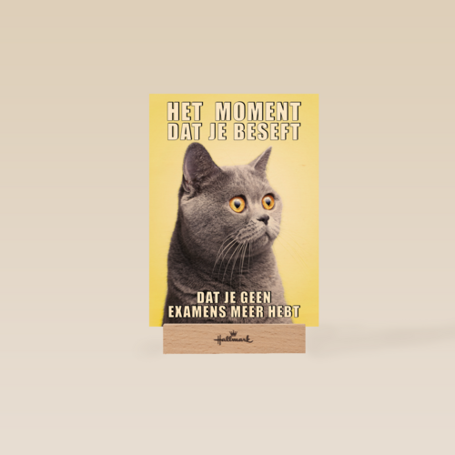 Geslaagd kaart Kat grappig
