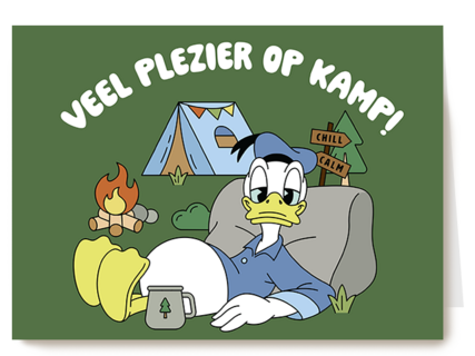 Donald Duck Veel plezier op kamp groen