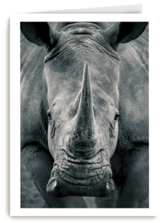 blanco kaart neushoorn