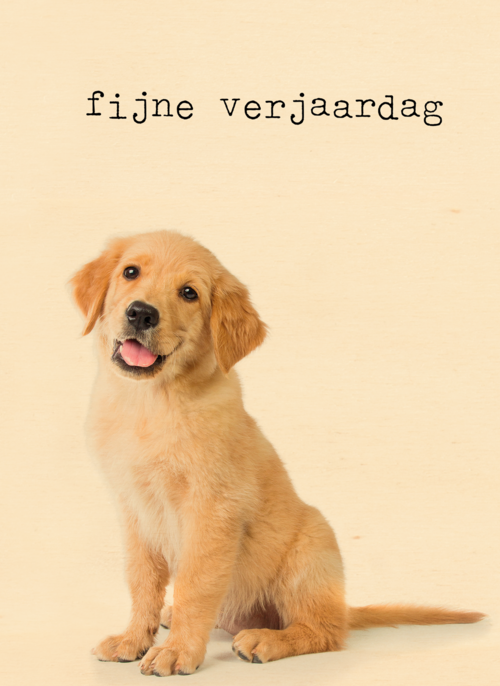 Verjaardagskaart Furry cuddles hond
