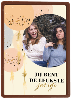 verjaardag kaart foto ballonnen jij bent de leukste  jarige