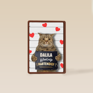 valentijn kaart kat grappig jij bent mijn hartendief