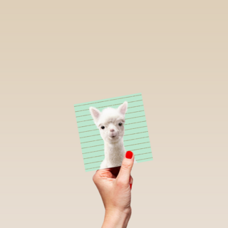 Blanco kaart alpaca