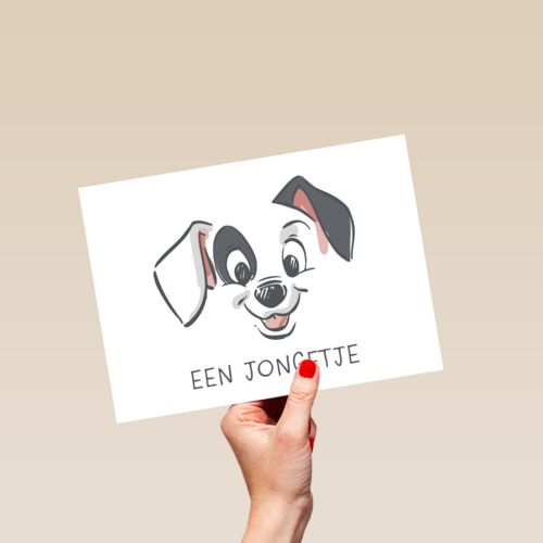 geboorte felicitatie Disney jongetje