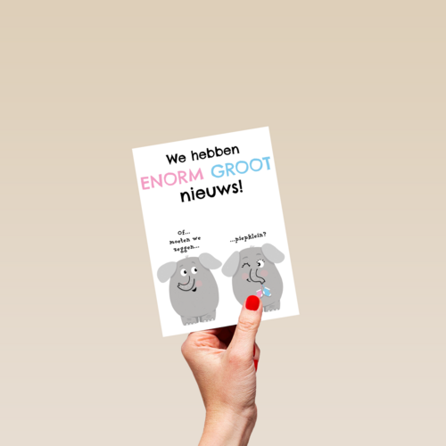 zwangerschap we hebben enorm groot nieuws