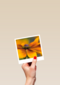 Sterkte kaart gele bloem Polaroid