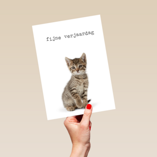 Verjaardagskaart Furry cuddles poes
