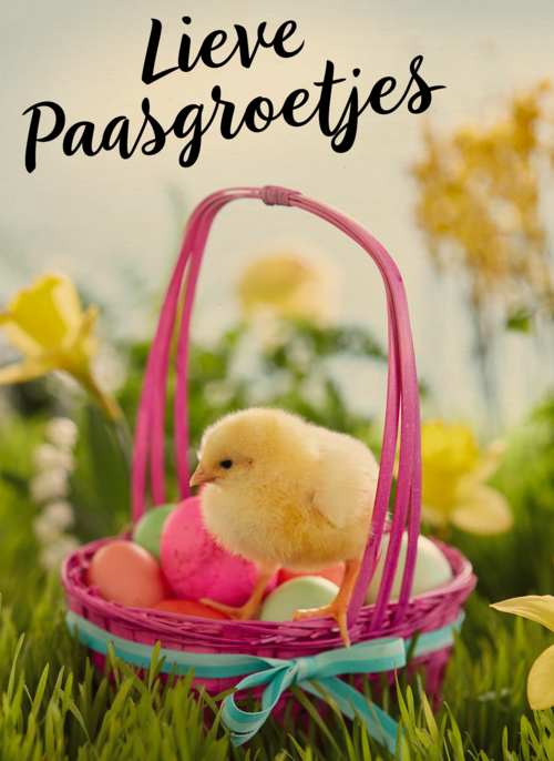 Houten Kaart Pasen | Hallmark | Houten Kaart Hallmark | Pasen | Lieve Paasgroetjes Met Mand
