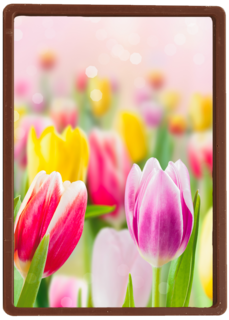 lente kaart tulpen voorjaar