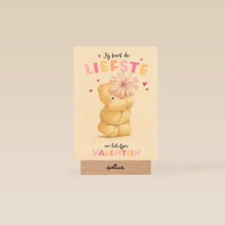 Jij bent de liefste Forever Friends