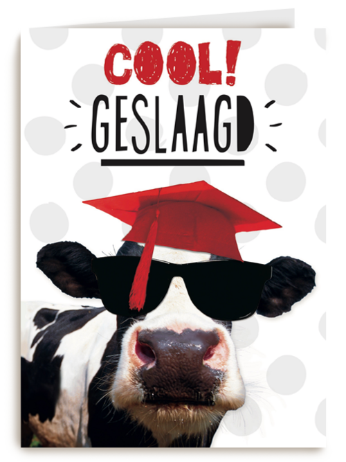examen cool geslaagd koe