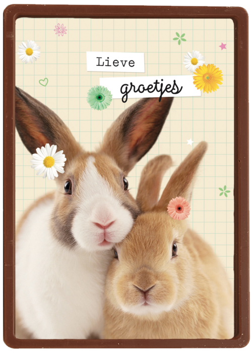 lieve groetjes kaart met konijnen en bloemetjes