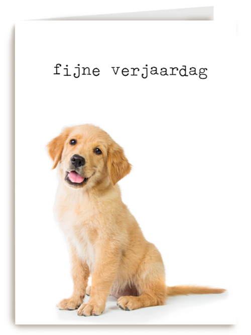 Verjaardagskaart Furry cuddles hond