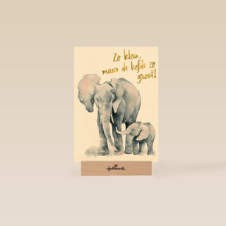 de grote liefde van een olifant