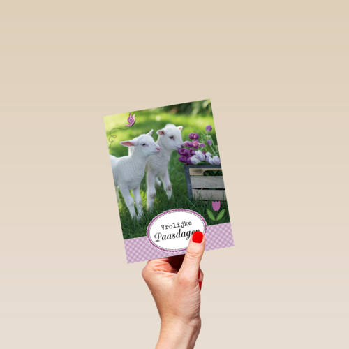 lammetje bloem pasen
