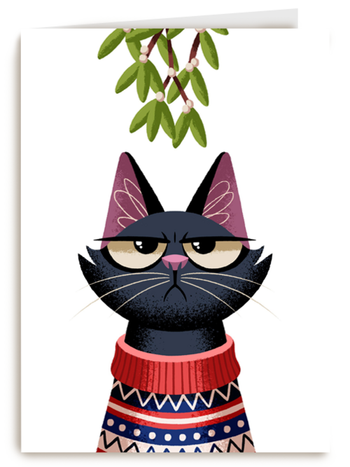 grumpy kat under the mistletoe