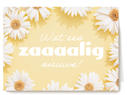 complimentkaart wat een zaaaalig nieuws
