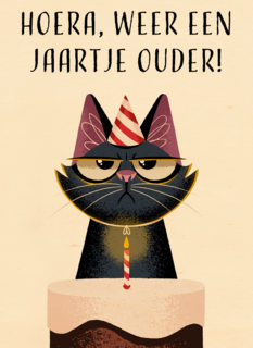Verjaardagskaart grappig Grumpy Hoera weer een jaartje ouder Folio