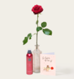 Single Roos Rood Met Vaas en Ayurveda Foam