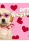 Hey knapperd