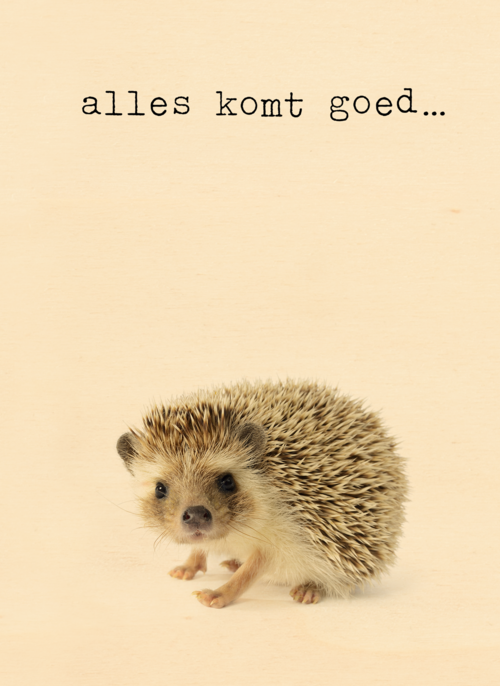 Houten Kaart Beterschapskaarten | Houten Kaart Hallmark | Beterschapskaarten | Sterkte Kaart Furry Cuddles Egeltje