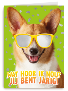 wat een coole hond voor je verjaardag