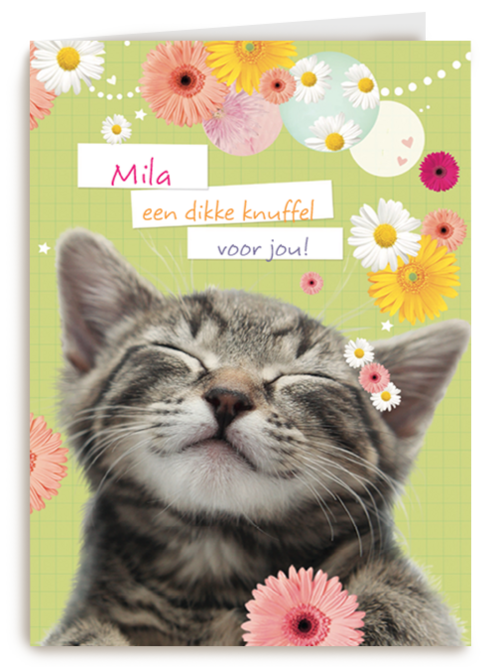 een snoezepoesje voor jou