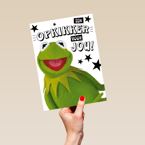 Beterschapskaart Kermit Een opkikker voor jou