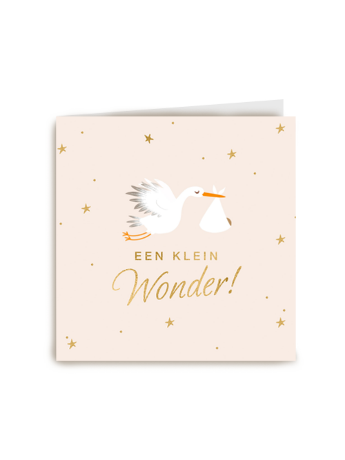 Kaart Hallmark | Geboorte Felicitatie | Babykaart Zoon Dochter Kleinkind Een Klein Wonder