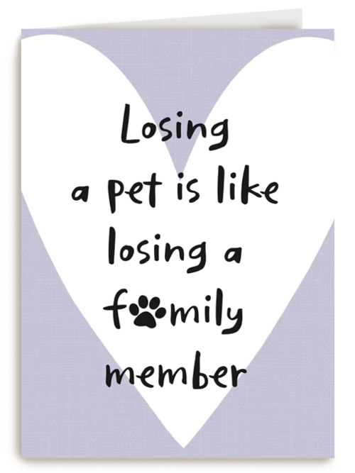oosing pet like loosing familyl
