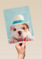 hond met hoed op