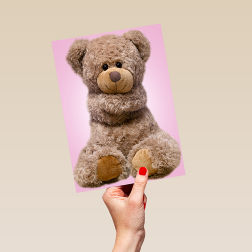 Chromazone Roze knuffelbeer