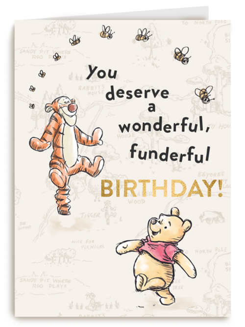 Winnie en Tijgertje wonderful birthday