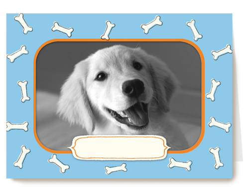 fotokaart met groetjes van onze hond