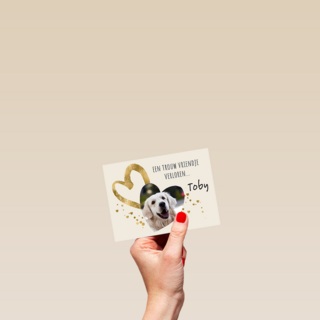 Condoleance rozen wit