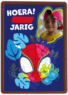 Spidey and friends Verjaardagskaart